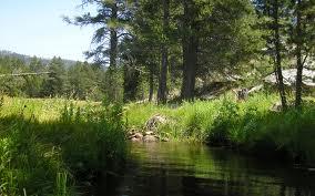 Fishing Wallpapers - images4.jpeg